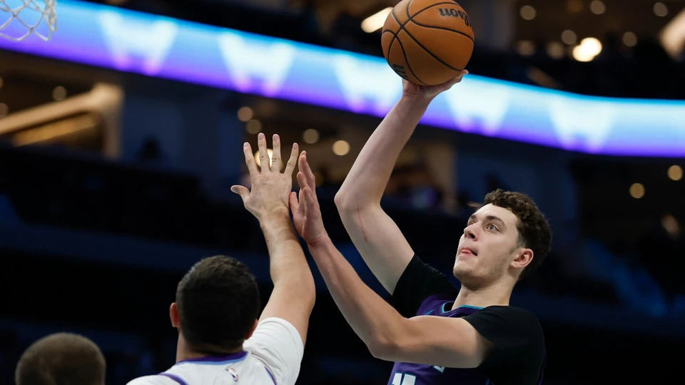 莱恩·卡尔克布伦纳