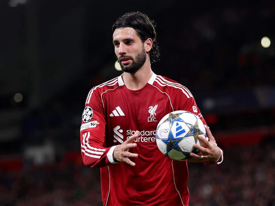 多米尼克·索博斯洛伊