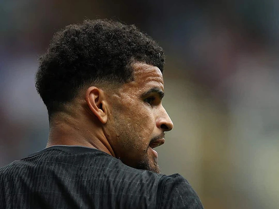 多米尼克·索兰克