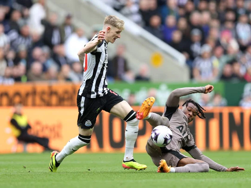 尼科洛·萨沃纳