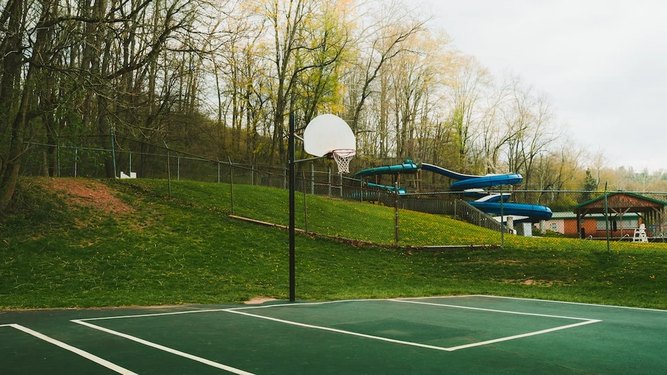 明尼苏达森林狼队