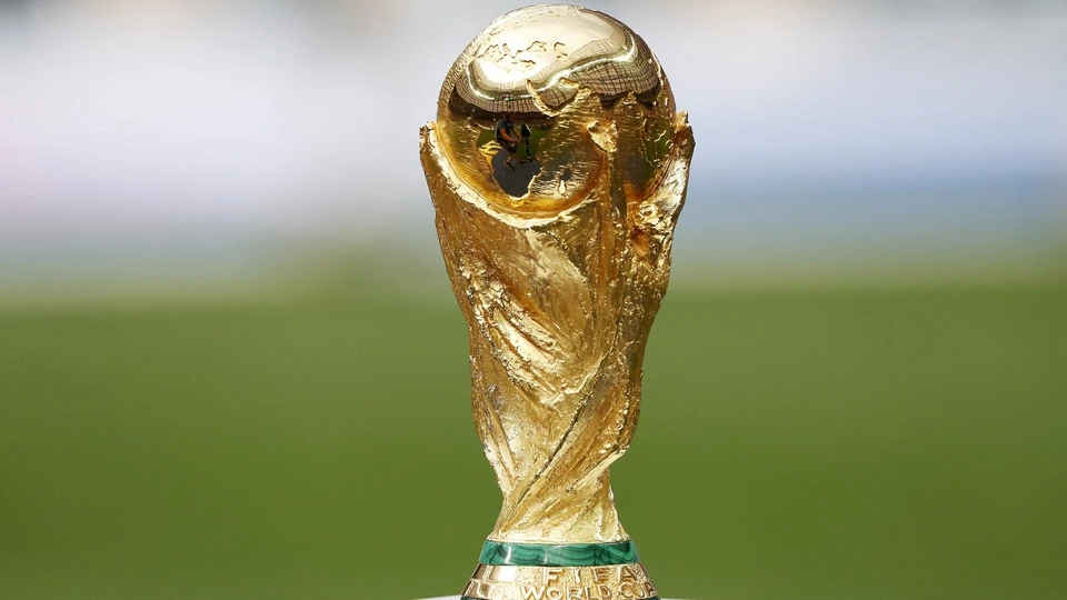 国际足联世界杯