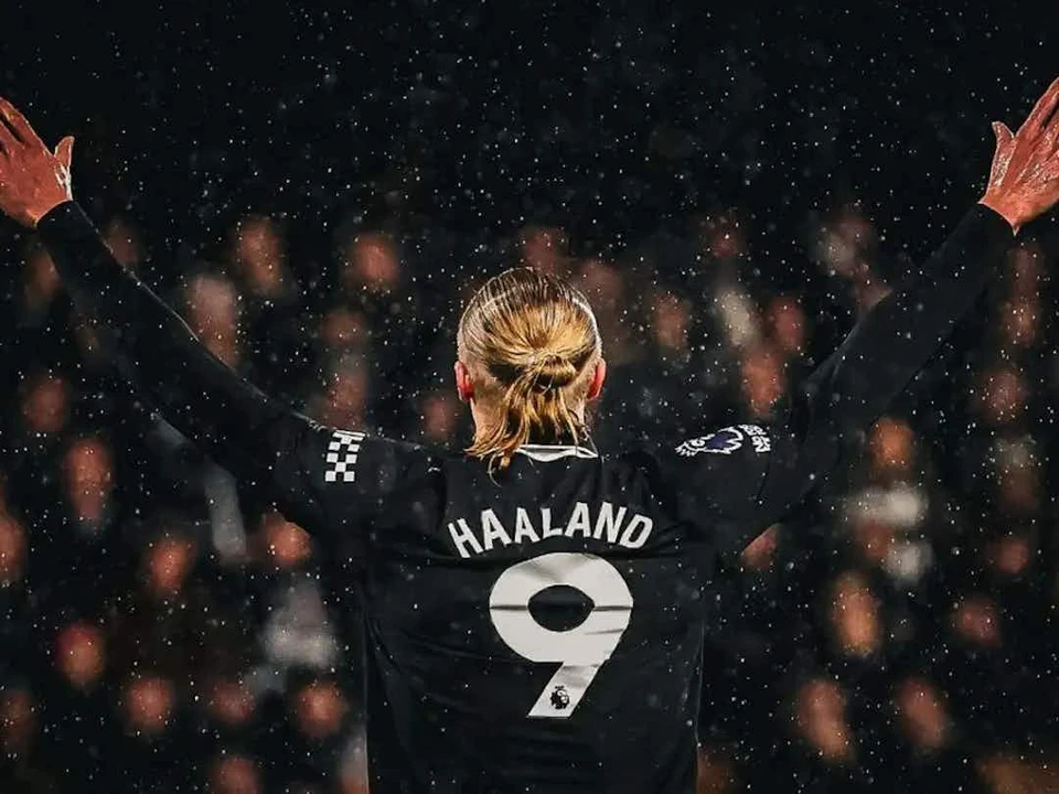 埃尔林·哈兰德