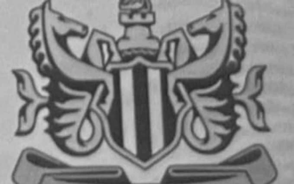纽卡斯尔