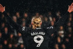 埃尔林·哈兰德