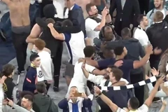 托特纳姆热刺