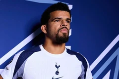 多米尼克·索兰克