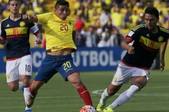 马里奥·皮尼亚达