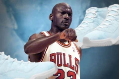 Air Jordan 11