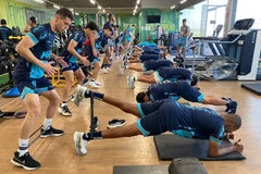 米拉索尔