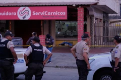 马里奥·皮尼亚达