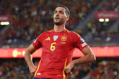 米克尔·梅里诺