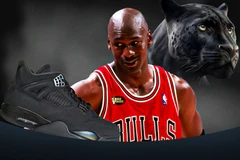 Air Jordan 4
