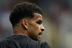 多米尼克·索兰克