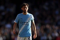 贝尔纳多·席尔瓦