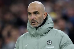 恩佐·马雷斯卡