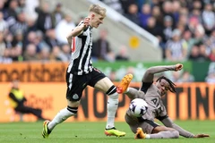 尼科洛·萨沃纳