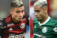 安德烈亚斯·佩雷拉