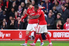 尼科洛·萨沃纳