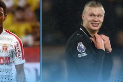 埃尔林·哈兰德