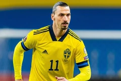 伊布拉希莫维奇