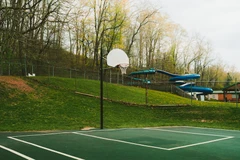 明尼苏达森林狼队