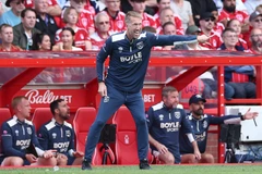 格雷厄姆·波特