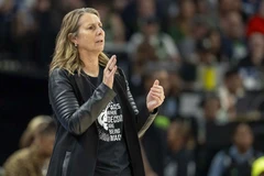 明尼苏达山猫队