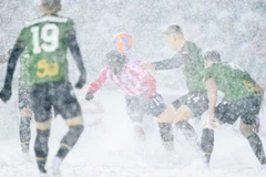 马德里竞技渥太华