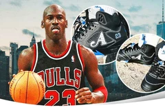 Air Jordan 5