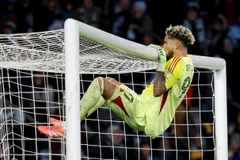 达内·圣克莱尔