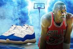 Air Jordan 11