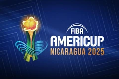FIBA 美洲杯