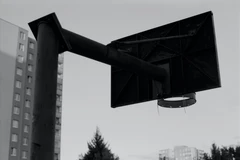 萨克拉门托国王队