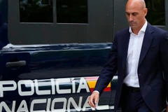 路易斯·鲁比亚莱斯