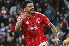 摩根·吉布斯-怀特