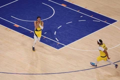 尼克斯
