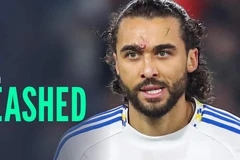 多米尼克·卡尔弗特-莱维特