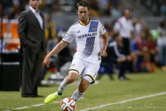 托德·杜尼万特