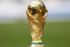 国际足联世界杯
