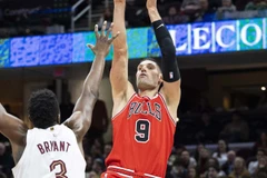 尼古拉·武切维奇